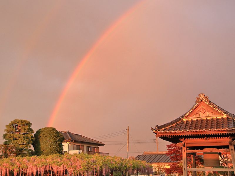 普門寺「桔梗の郷」家族墓