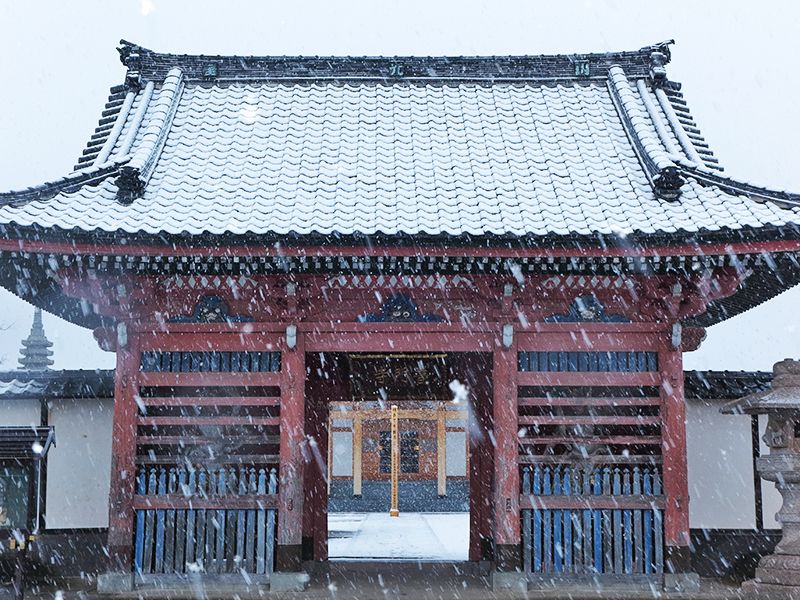 普門寺「桔梗の郷」家族墓