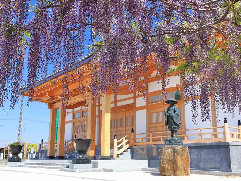 普門寺「桔梗の郷」家族墓