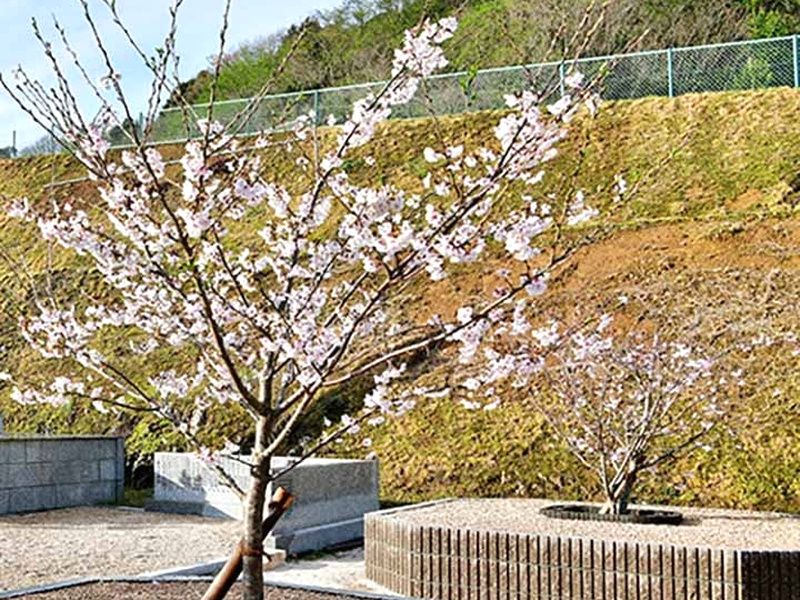 大泉寺さくら墓苑