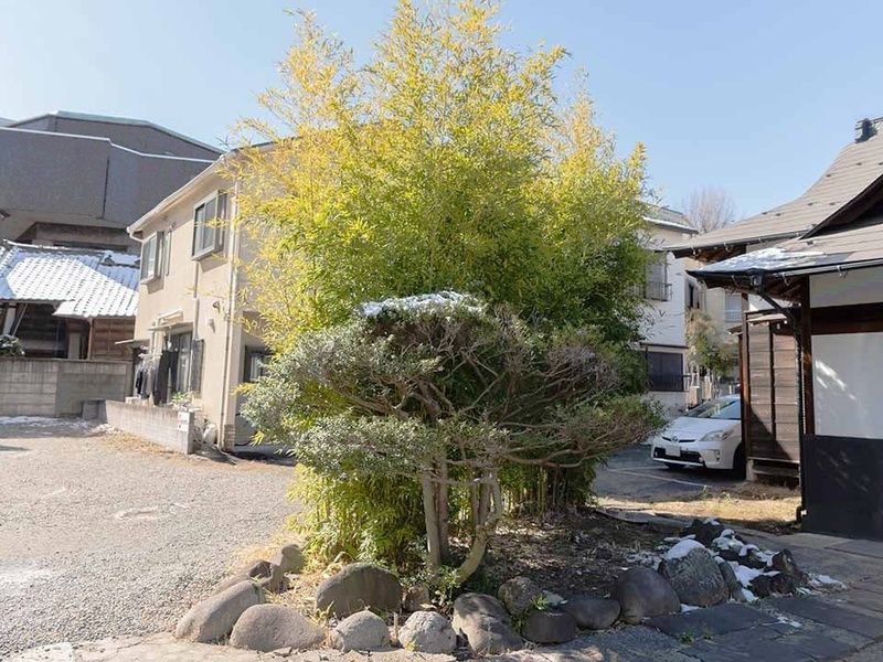 小さな森の樹木葬 上野