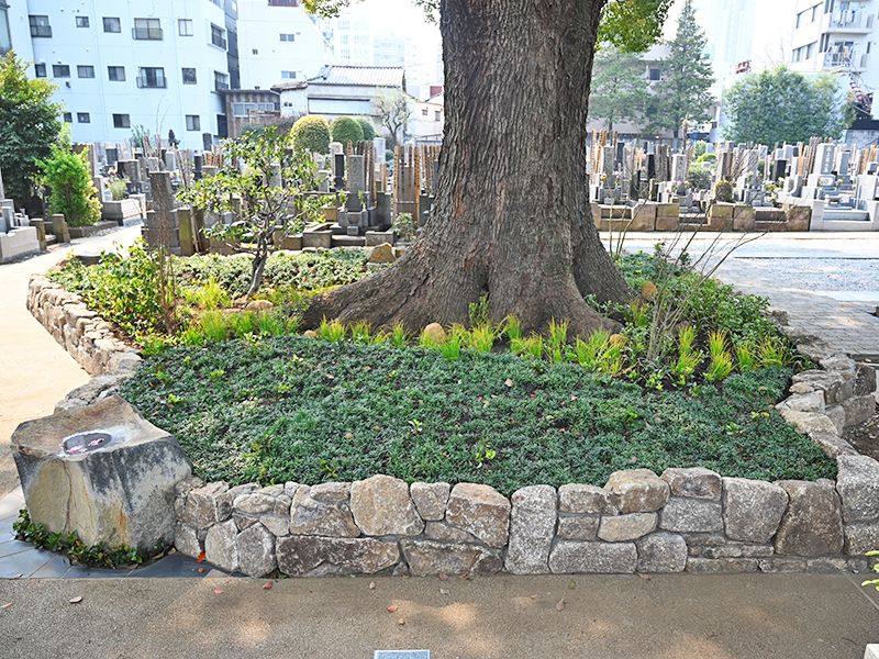 広尾の杜