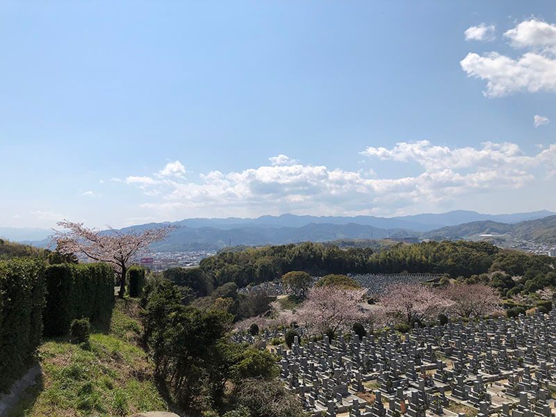 今治市営 大谷墓地　緑が多い墓地周り
