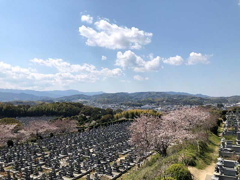 今治市営 大谷墓地　山ひとつを使った広大な墓地