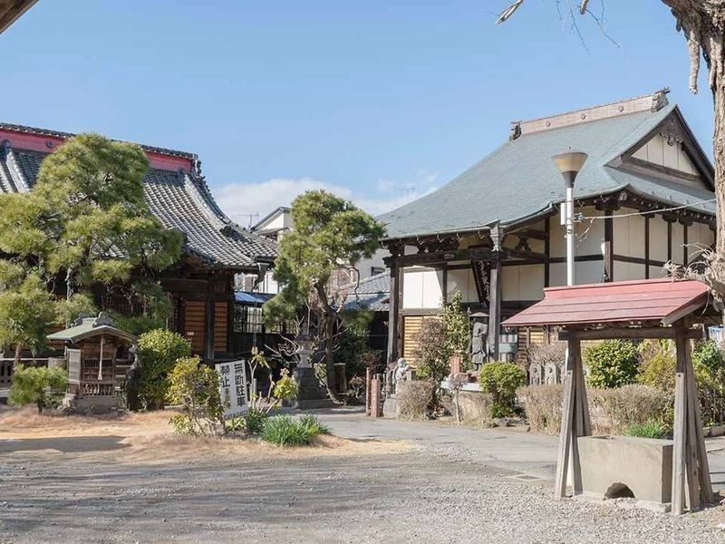 善照寺霊園