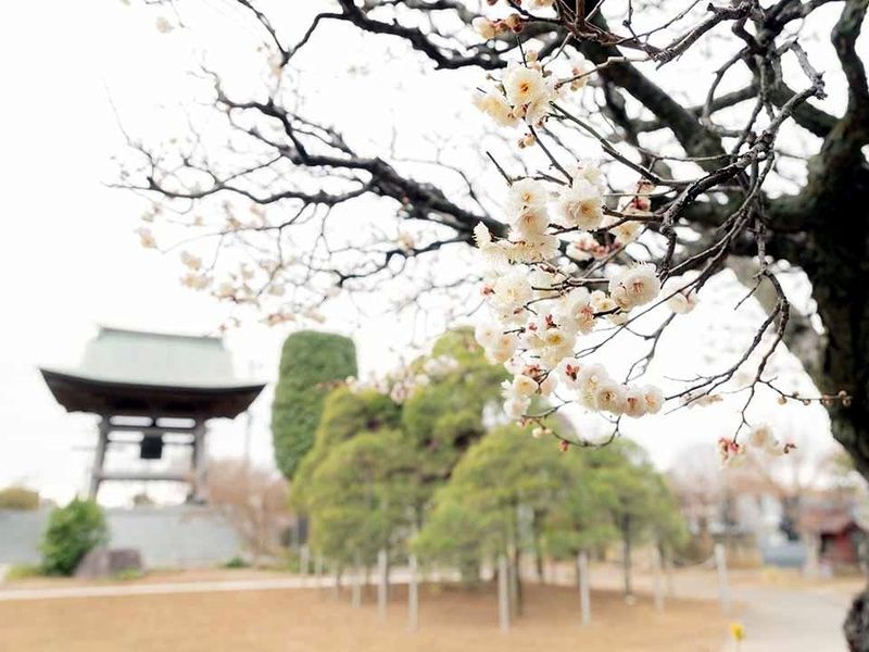 観音聖地霊園