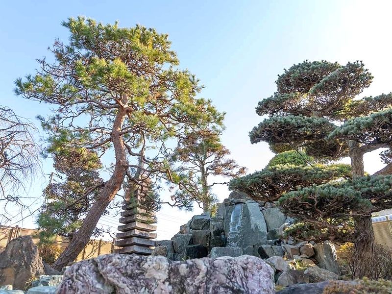 定泰寺樹木葬「縁」