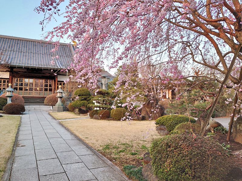 春日部永代供養墓霊園 東光院