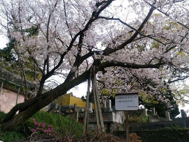 長崎市営 坂本国際墓地