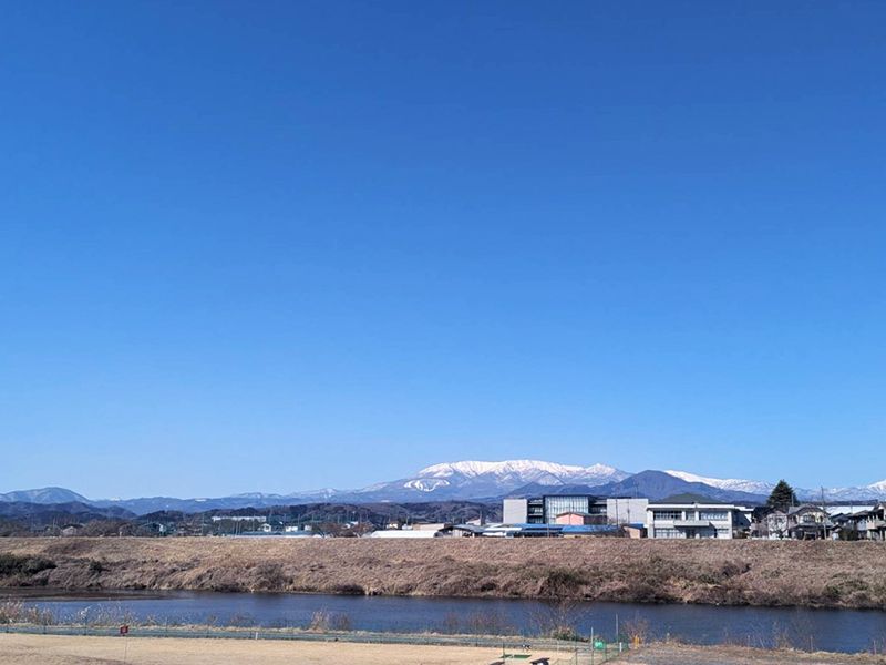 桜河原樹木葬