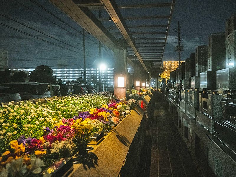 夜もきれいにライトアップしお参りが可能となっております