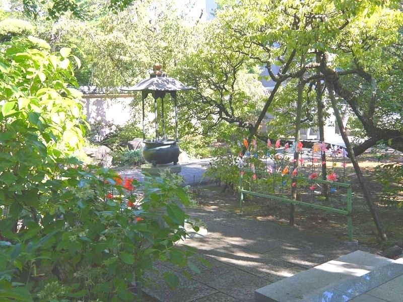 円光院「樹木葬墓おもかげ」