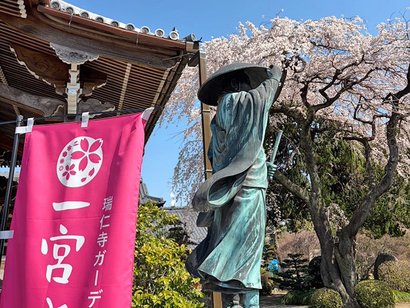 一宮さくら彩苑