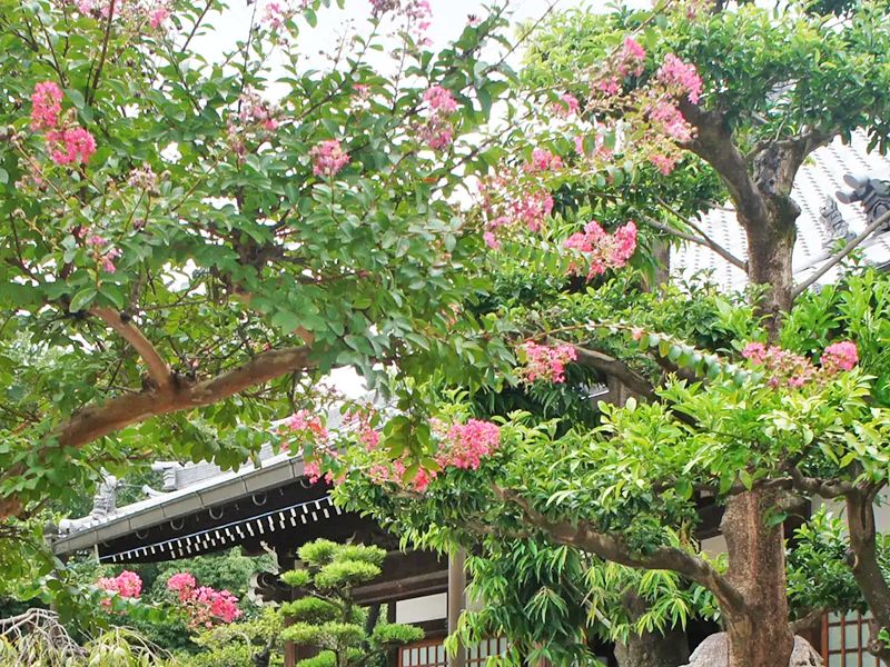 名古屋守山霊園 浄土院