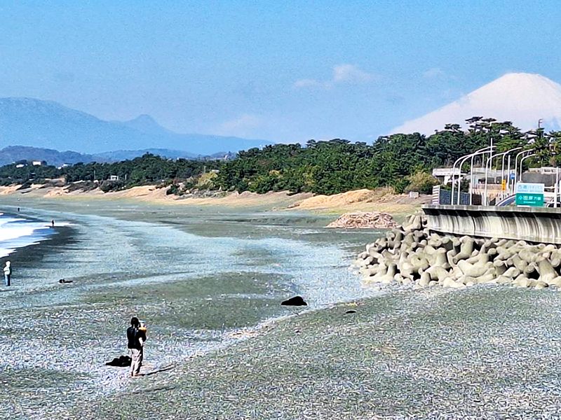 お寺から海岸まで徒歩約4分