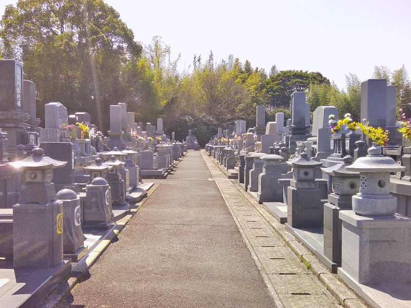 広い参道でお参りしやすくなっております。