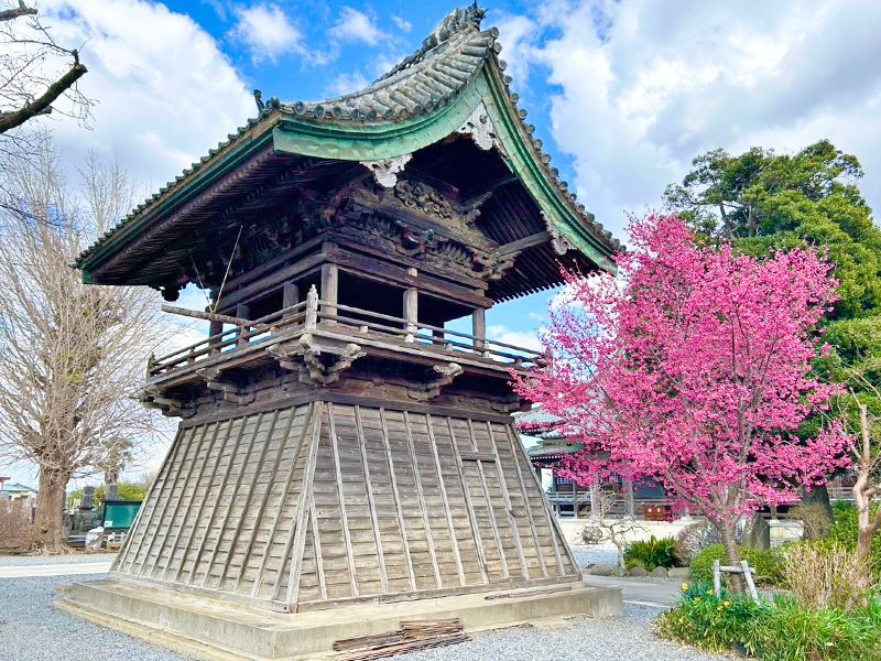 報国寺 のうこつぼ