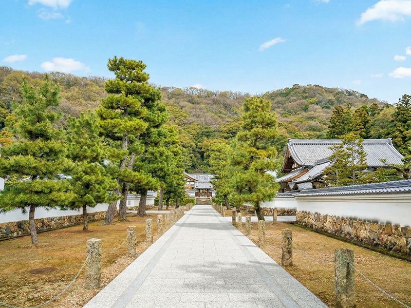 参道