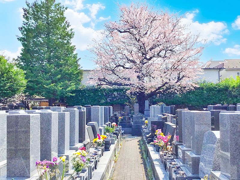 墓域