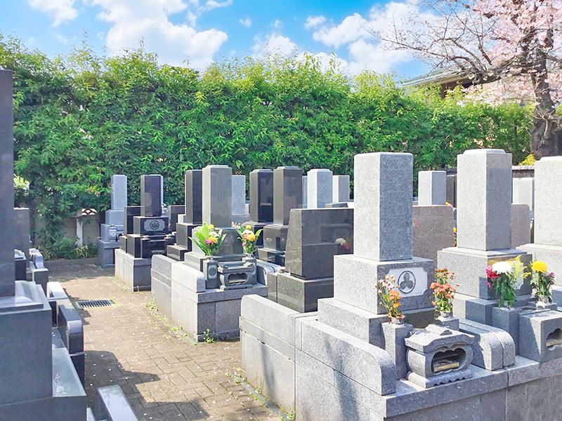 墓域