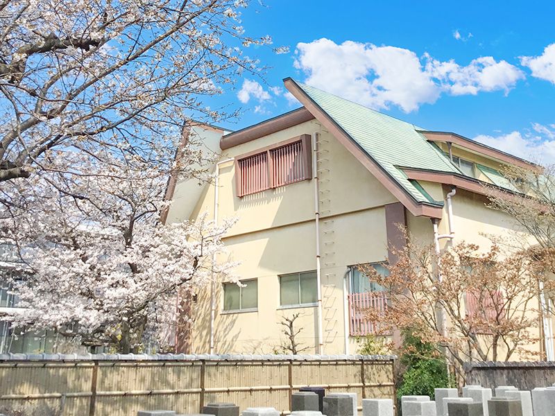 桜と墓域