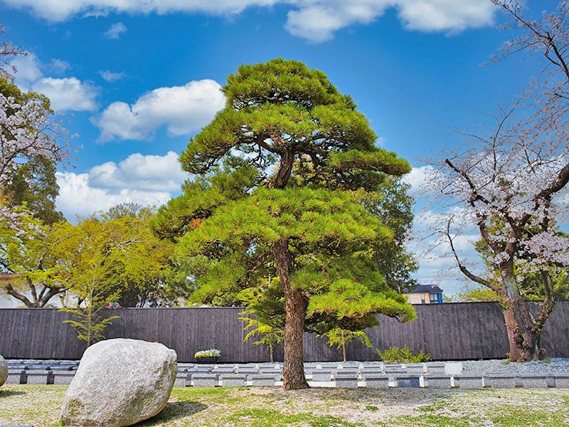 徳雲寺 樹木葬「慈雲」