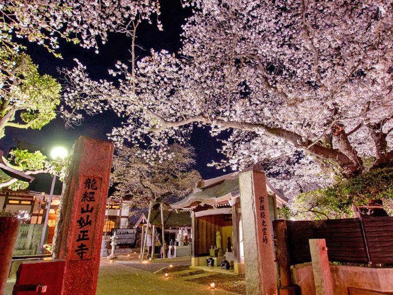 妙正寺