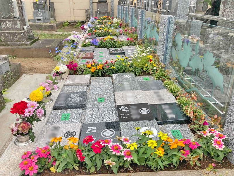 長善寺樹木葬「アルベリ」