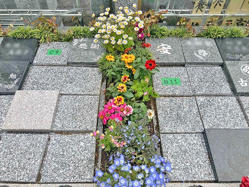長善寺樹木葬「アルベリ」