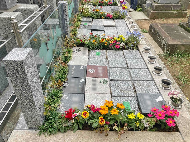 長善寺樹木葬「アルベリ」