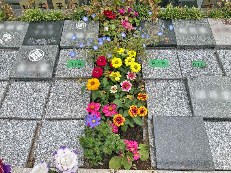 長善寺樹木葬「アルベリ」