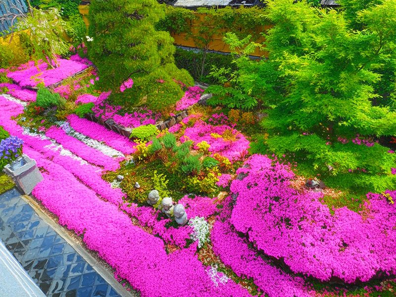 速成寺 納骨堂・樹木葬