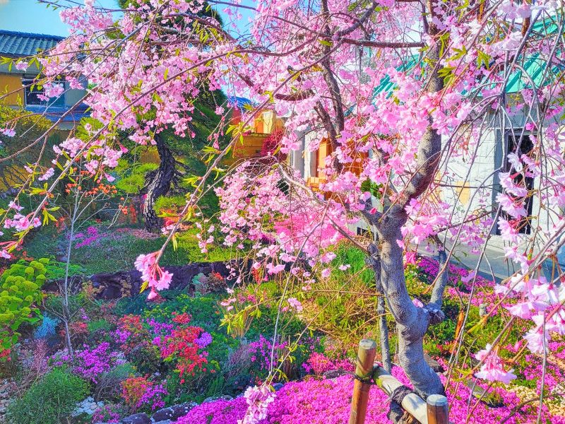 速成寺 納骨堂・樹木葬