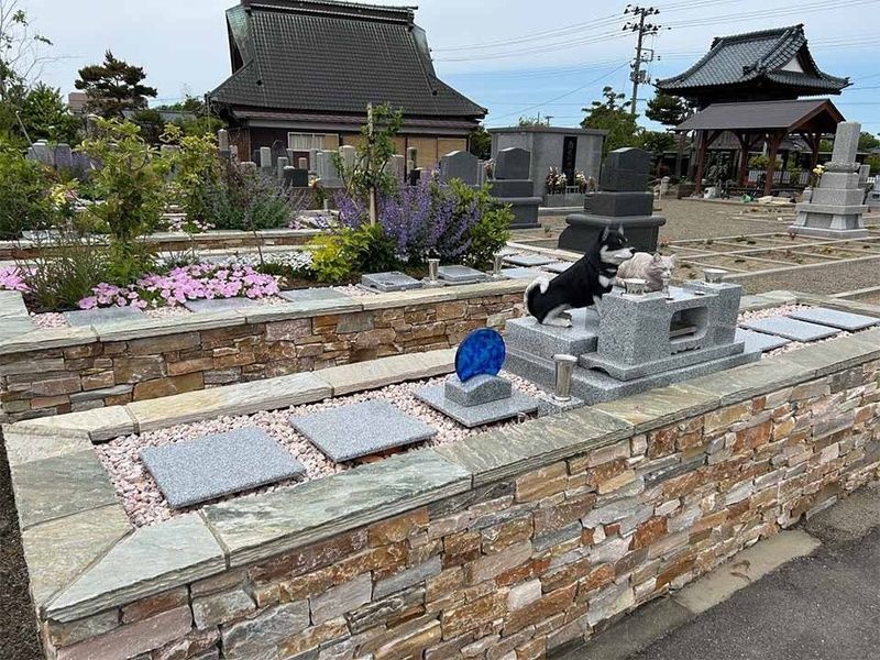 樹木想 福照 〜ふくてらす〜