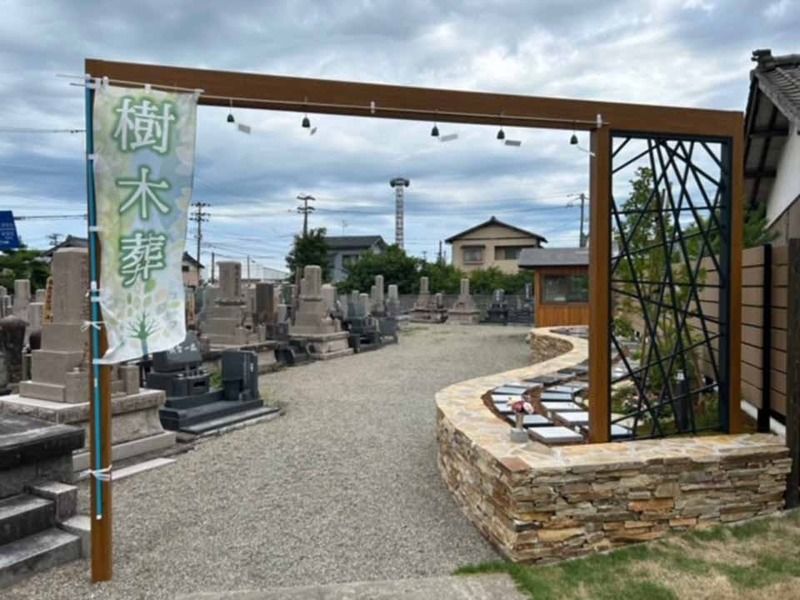 樹木想〜泉〜