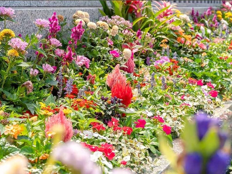 舎人木花葬苑
