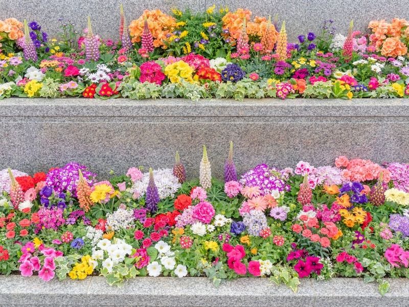 舎人木花葬苑
