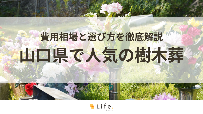【解説付き】山口県で人気の樹木葬ランキング！費用相場と選び方を徹底解説