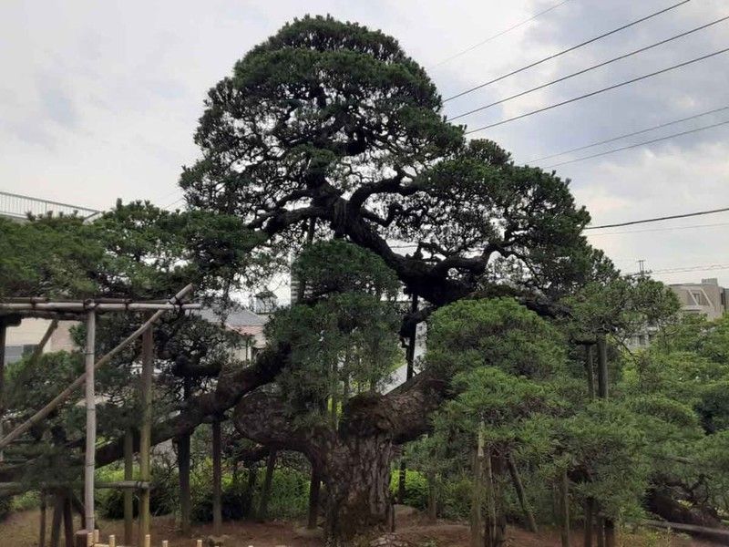 福田山 塩澤寺