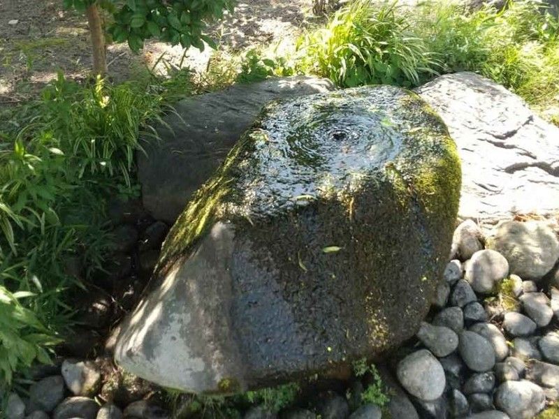 鎌田山 本誓寺