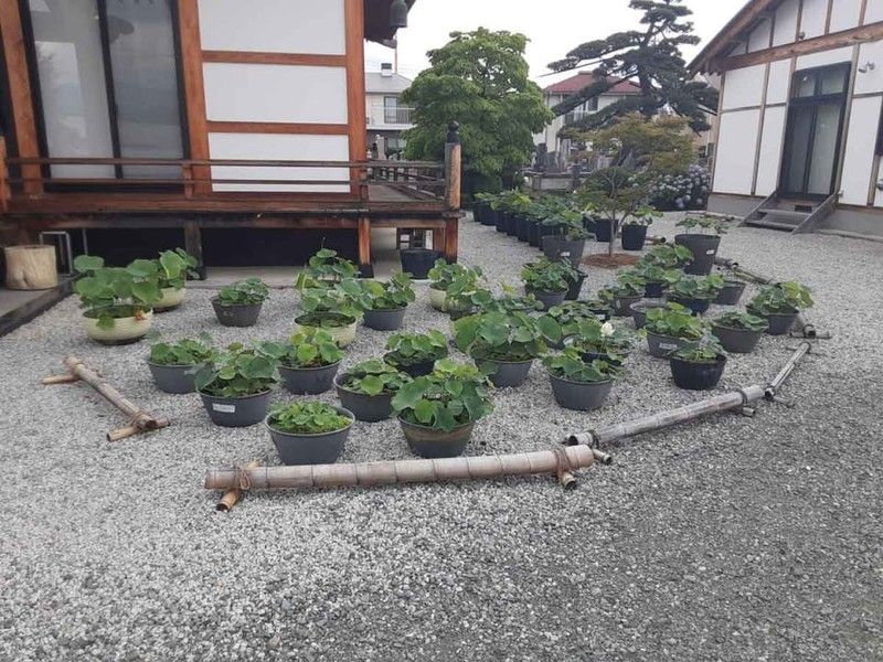 万徳山 円満寺