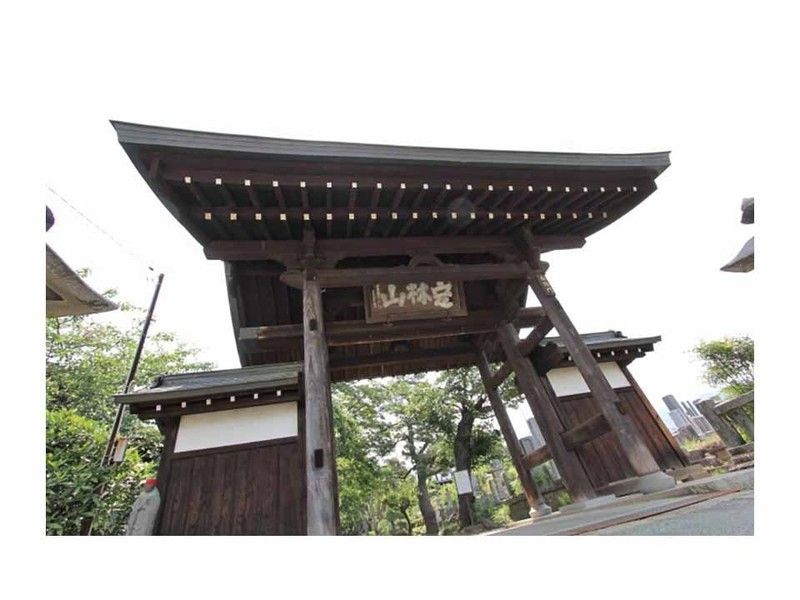 定林山 寶樹院