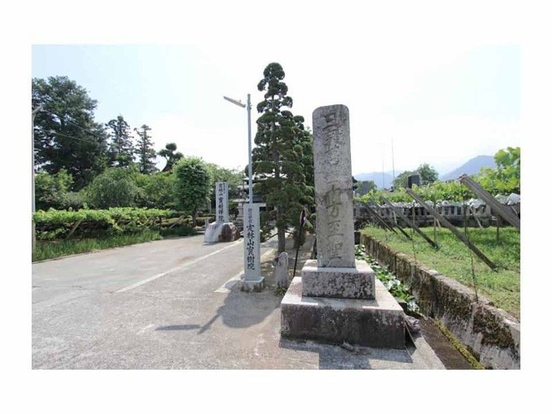 定林山 寶樹院