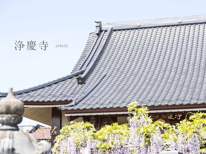 徳音山 浄慶寺