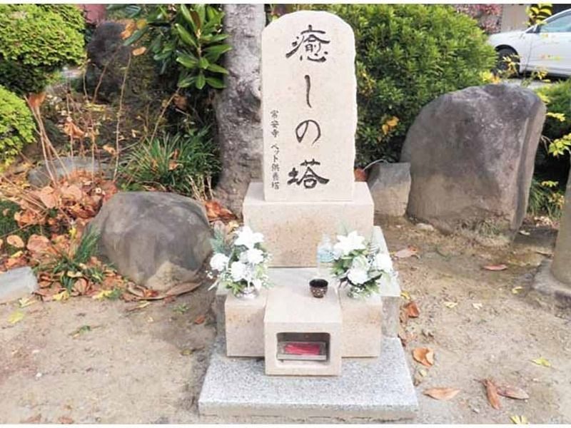 明龍山 常安寺