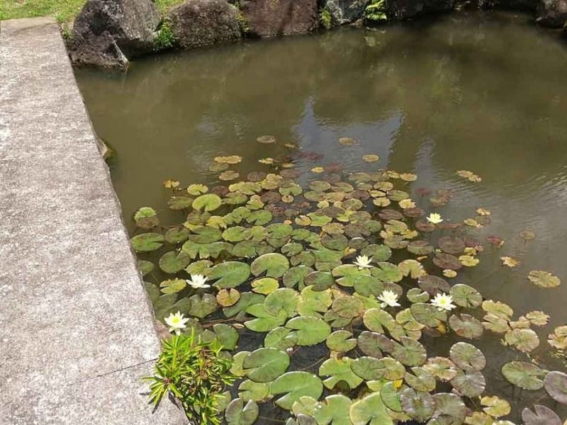 常牧山 浄居寺