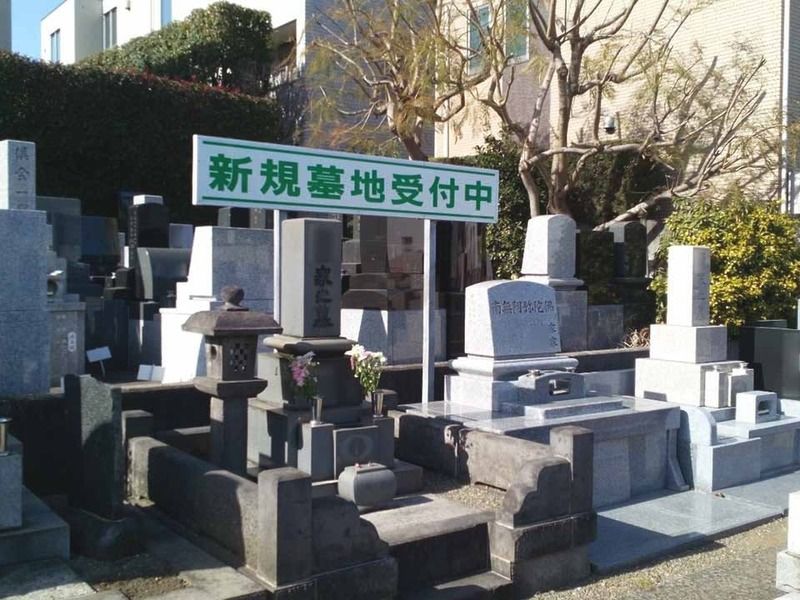新規区画も開放中です
