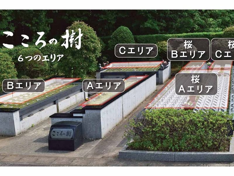 船橋メルヘンパーク 樹木葬墓地「こころの樹」
