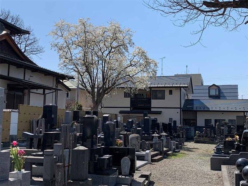 紫光山 極楽寺