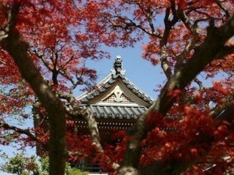 洞源院
